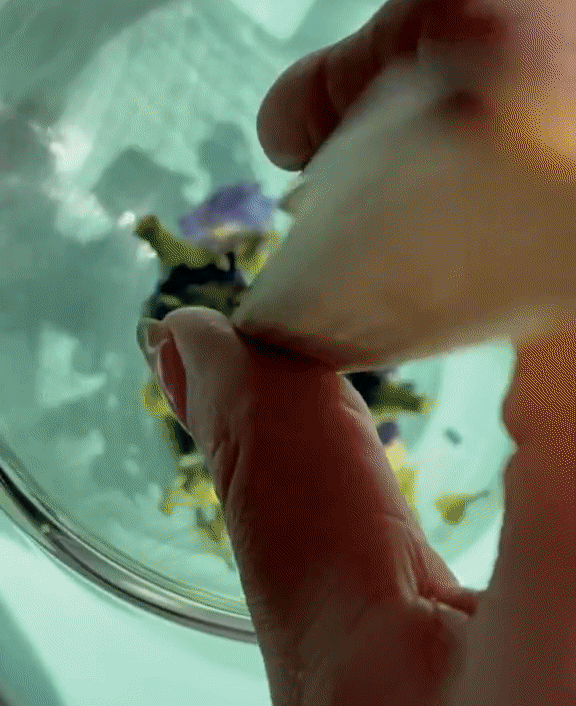 Butterfly Pea (0.56oz Jar) · Herbal Tisane (Caffeine Free) | The Qi