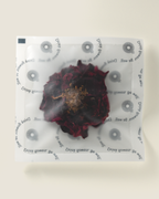 Shangri-la · Rose Tisane (Caffeine Free) | The Qi