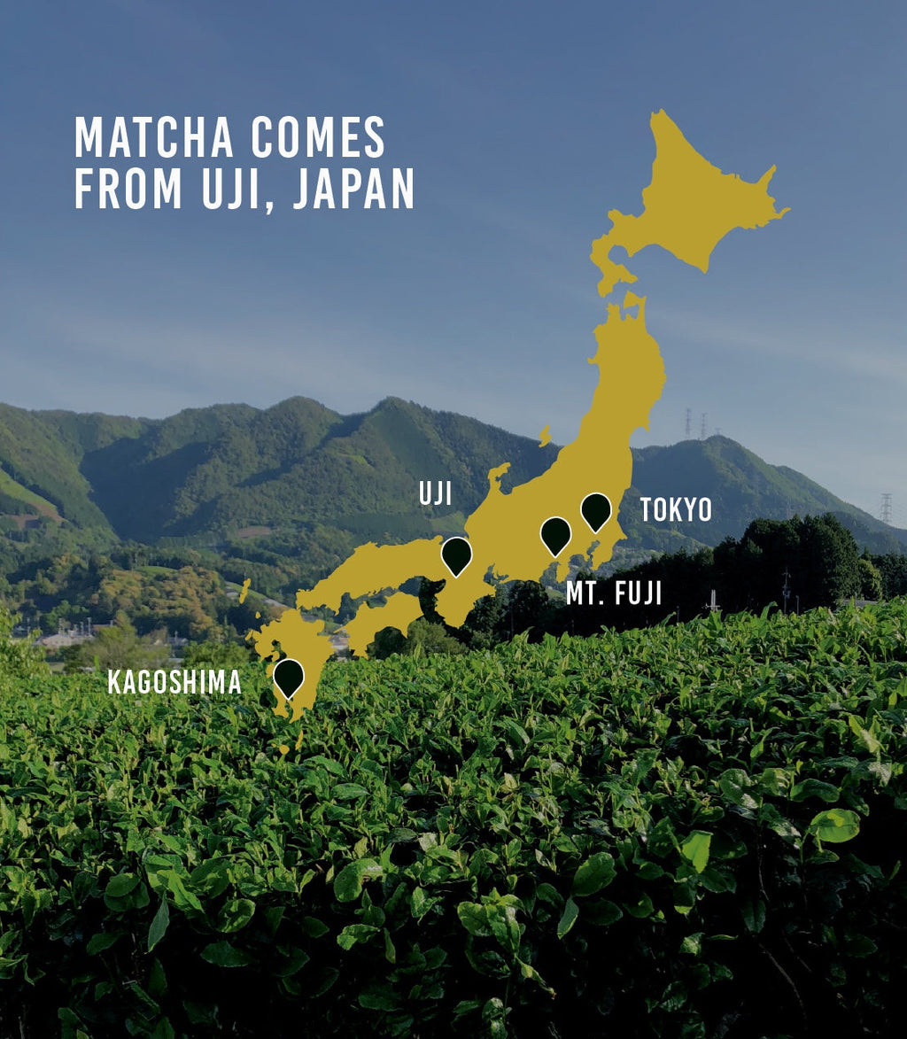 Unjonotomo Ceremonial · Extra Thick Grade Matcha | Harney & Sons