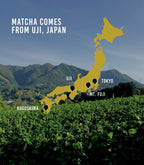Unjonotomo Ceremonial · Extra Thick Grade Matcha | Harney & Sons