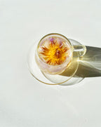 Blooming Glass Cups & Saucers · Borosilicate Tea Set (Set of 2) | The Qi