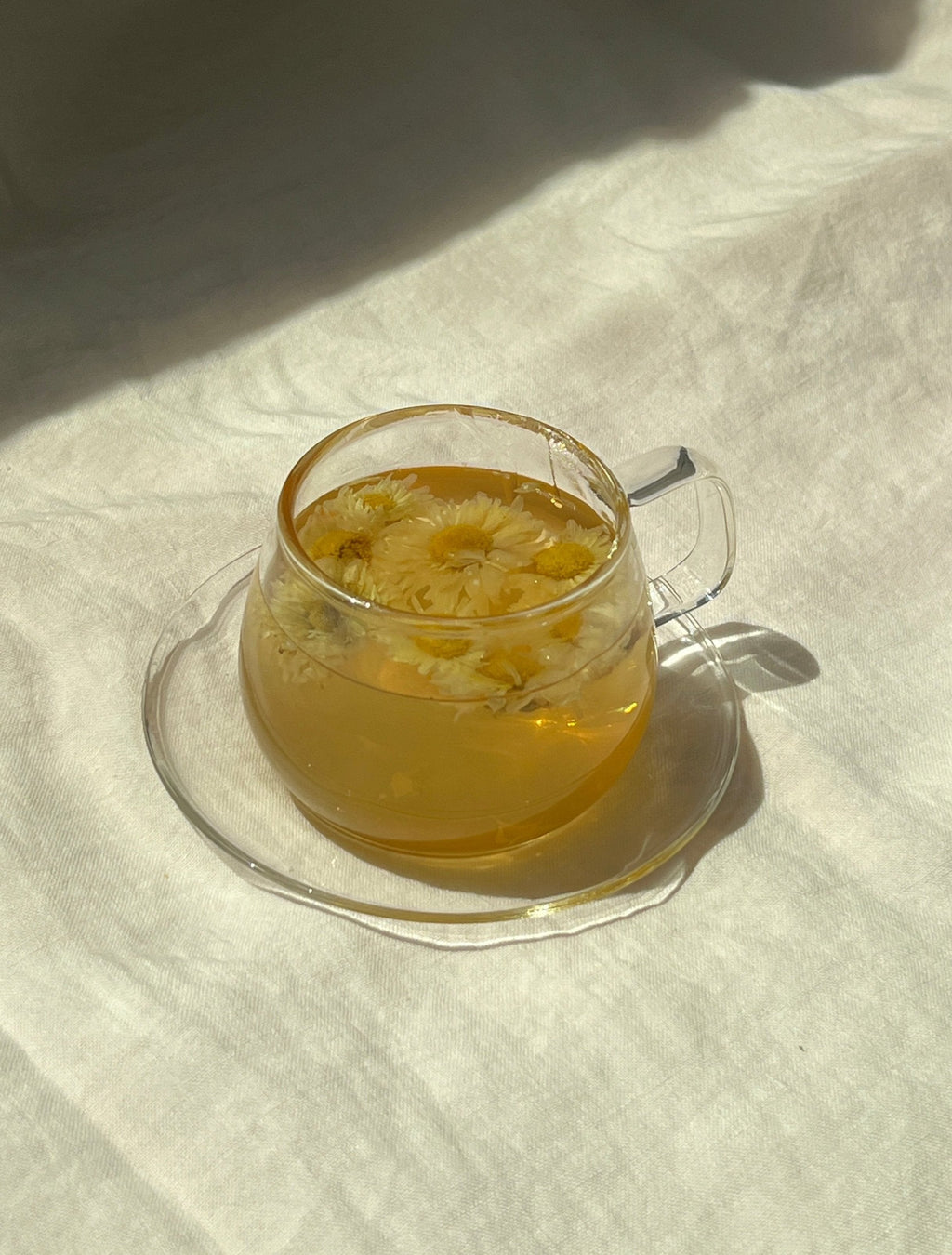 Wild Chrysanthemum · Herbal Tea (Caffeine Free) | The Qi