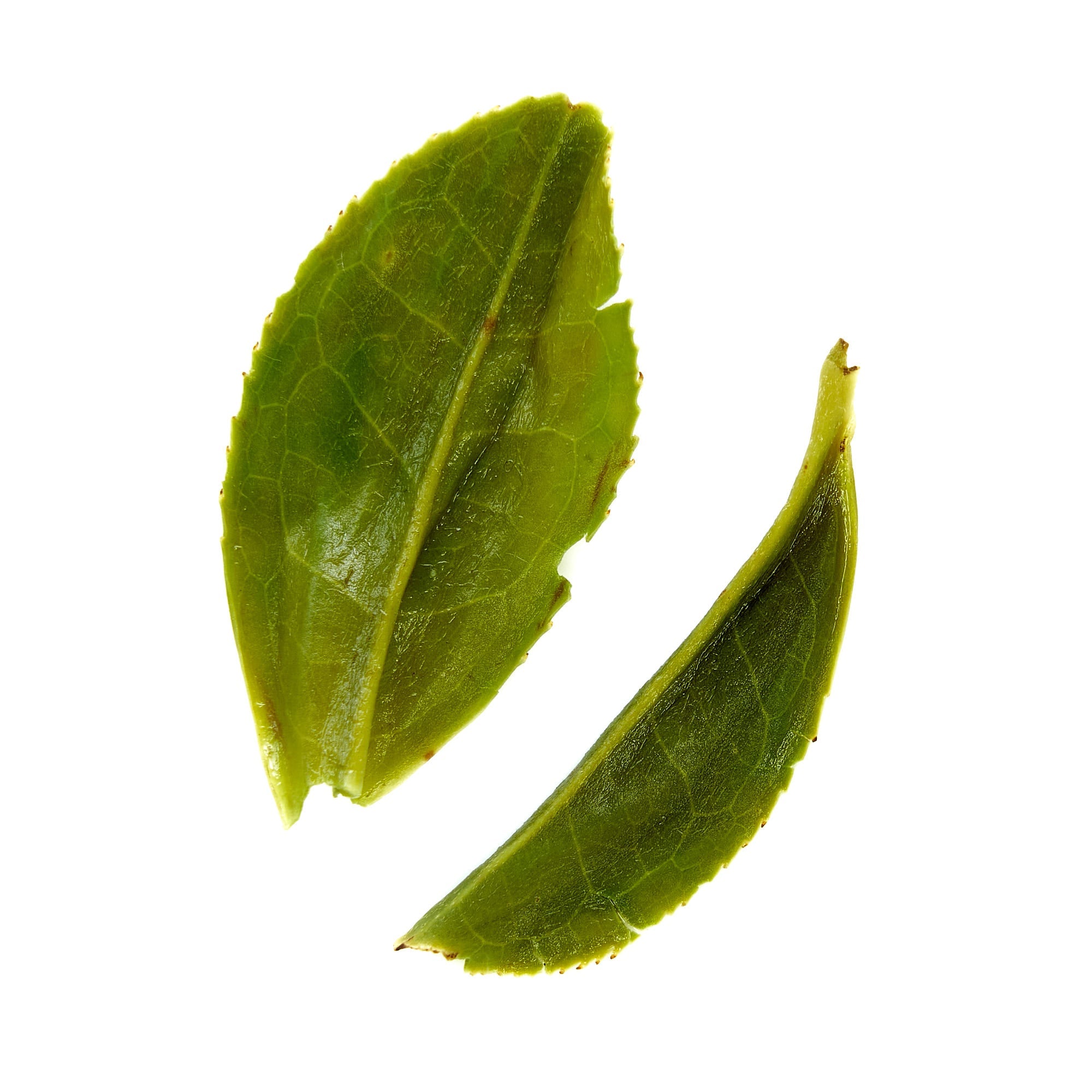 Rare Leaves Emerald · Single Estate Pi Lo Chun Green Tea | August Uncommon Tea