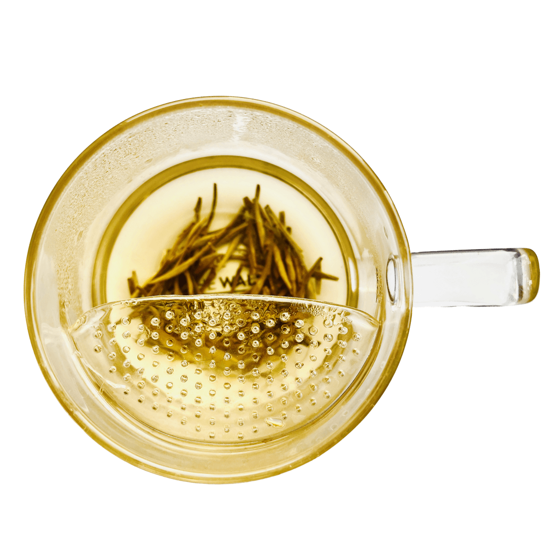 The WALL® Tea Infuser · Borosilicate Glass Cup | Nepal Tea